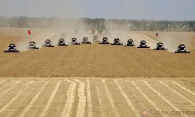 Аграрии Орловщины намолотили первый миллион тонн зерна