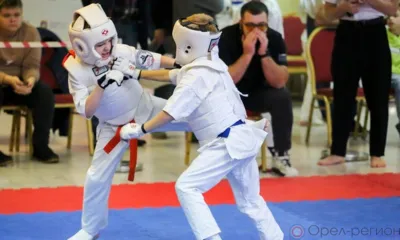 В Орле прошли чемпионат и первенство области по киокусинкай