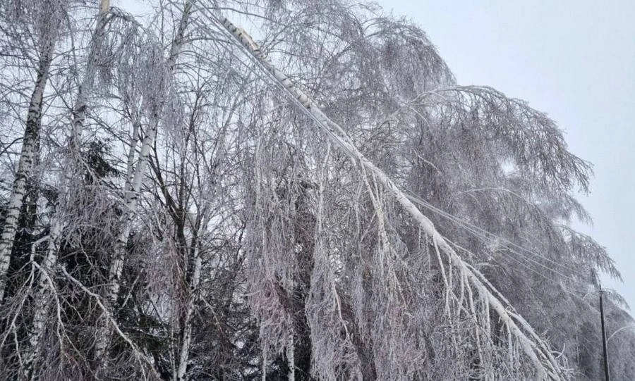 На Орловщине продолжаются работы по ликвидации последствий циклона