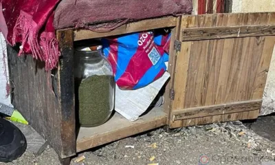 Житель Залегощи хранил крупную партию наркотиков в голубятне