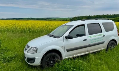 Посевы в Орловской области проверяют на наличие ГМО