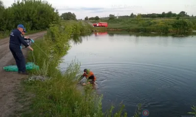 В пруду в Сосковском районе утонул орловец