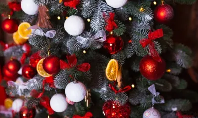 Андрей Клычков встретит Новый год с семьёй в Орле