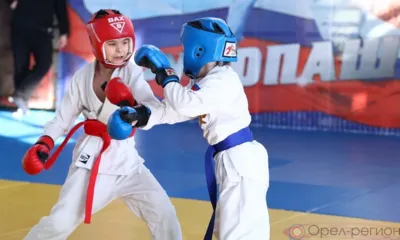 Во Дворце спорта «Юность России» прошёл Кубок Орловской области по рукопашному бою