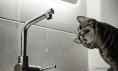 В Орле временно отключили котельную на Комсомольской