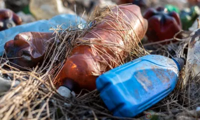 В Орле суд обязал управляющую компанию убрать свалку на улице Грузовой