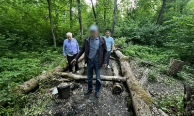 Орловцу грозит пожизненное лишение свободы за убийство с особой жестокостью