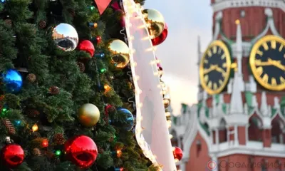 Общественные пространства Орловщины примут участие во Всероссийском конкурсе «Ёлки России»