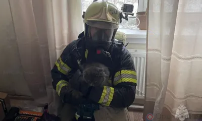 В Мценске пожарные спасли 8 человек и напуганного кота