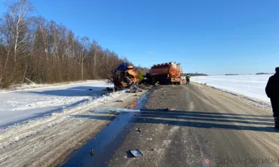 В Орловской области при лобовом столкновении двух КамАЗов погиб мужчина