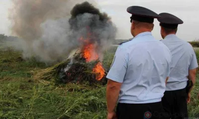 В Орловской области подвели итоги двух этапов мероприятия «Мак»