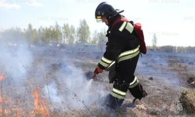 На Орловщине в этом году составлено уже 152 протокола за сжигание сухой травы