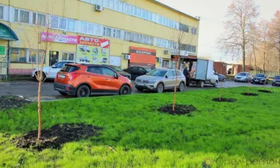 В Орле вдоль Карачевского шоссе высадили 171 дерево