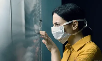 Штамм свиного гриппа A (H1N1) зафиксирован в Орле