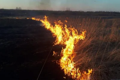 ГУ МЧС призывает орловцев остановить палы сухой травы