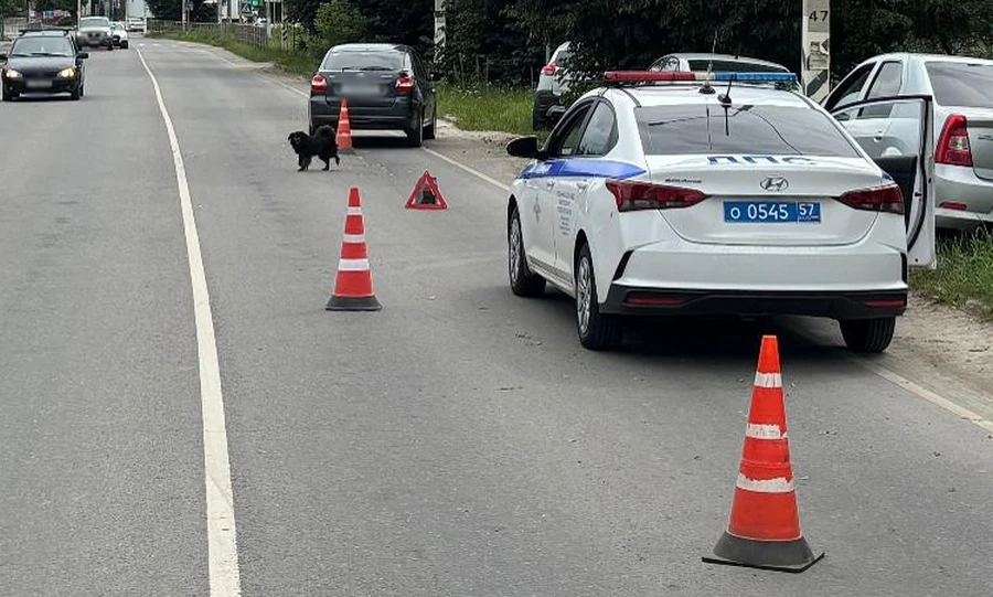 В Залегощи 9-летний мальчик попал под колёса легковушки