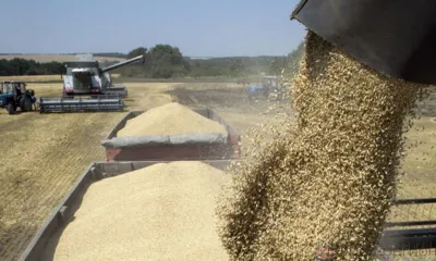 Региональный проект «Экспорт продукции АПК» в рамках нацпроекта «Международная кооперация и экспорт» Орловская область реализует с 2019 года