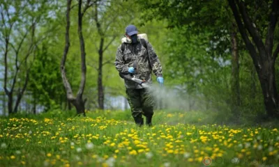 В Орле продолжается обработка общественных территорий от клещей