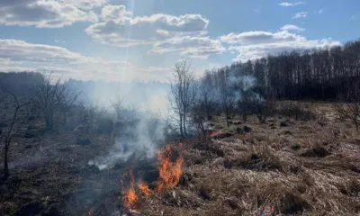 Орловцам рассказали об изменениях в правилах противопожарного режима