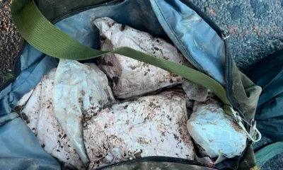 Орловцы пытались провезти в регион более 3,5 кг «синтетики»