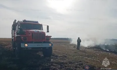 На Орловщине снова горела сухая трава