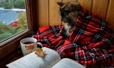 Часть Заводского района Орла завтра останется без отопления