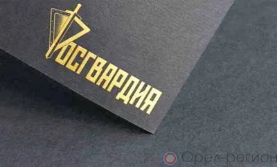 Орловцы выплатили более 160 тысяч рублей за нарушения в сфере оборота оружия