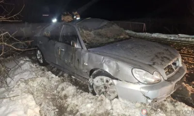 В Орловской области водитель Hyundai погиб при падении автомобиля с моста