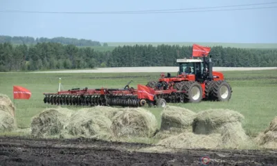 К 2030 году объём производства сельхозпродукции на Орловщине должен составлять 270 млрд рублей