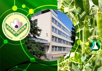 Орловский селекционно-семеноводческий центр сои ФГБНУ ФНЦ ЗБК получит 15 миллионов рублей