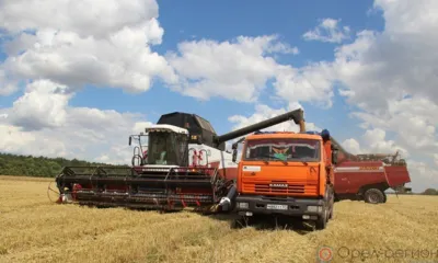 В Орловской области убрали более 95% зерновых и зернобобовых культур