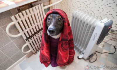 В Заводском районе Орла десять многоэтажек остались без отопления