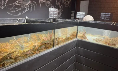 В Орле раковарня торговала непроверенной продукцией