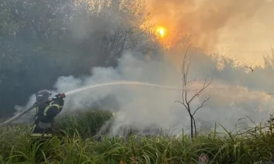 Орловские пожарные борются с огнём в Луганской Народной Республике