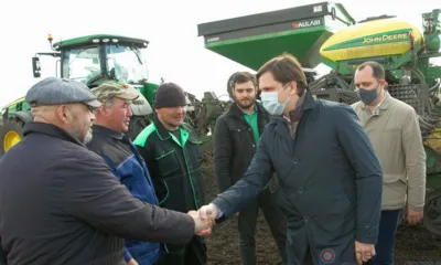 Большие надежды