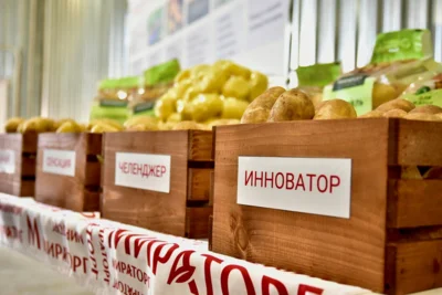 Фото 4. В Кромском районе запущен селекционно-семеноводческий центр картофеля