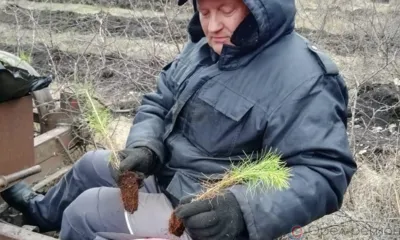 На Орловщине восстановят 18 га лесов