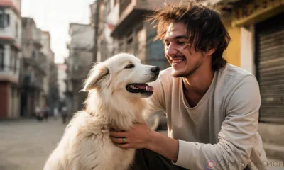 Орловцы стали реже выезжать с питомцами за границу