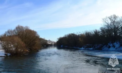 В ночь на воскресенье в Орле из реки спасли мужчину