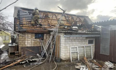 Орловские пожарные спасли 200 кроликов из горящего сарая