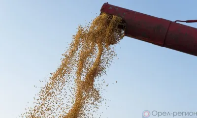 Из Орловской области в другие регионы отгружено более 2 млн тонн растениеводческой продукции