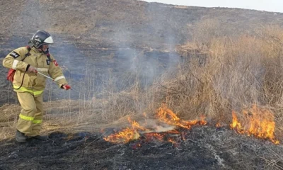 Орловские пожарные 19 раз за сутки выезжали тушить сухую траву и мусор
