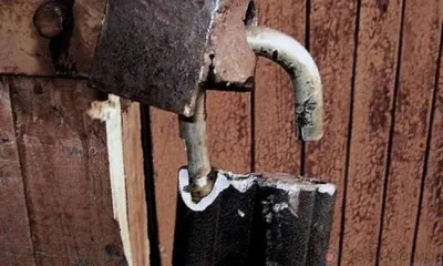 Орловчанка украла у своего бывшего сожителя мотоблок