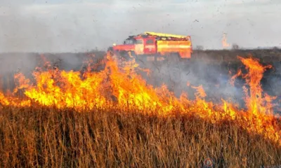 В Орловской области с 5 июня введён особый противопожарный режим