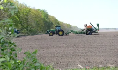 В Орловской области в 2021 году сельскохозяйственными культурами засеют 1,3 млн га