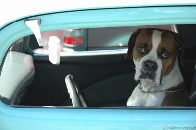 В Орле до середины сентября ограничат проезд по ул. Автовокзальной