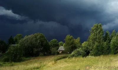 На Орловщине ожидаются грозы и порывы ветра до 18 м/с