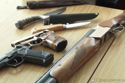 Ливенец нашёл газовый пистолет и сдал его в Росгвардию