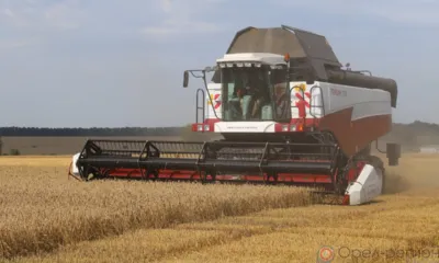 На Орловщине намолотили более 200 тыс. тонн зерновых и бобовых культур