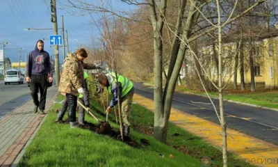 Компас в мире вопросов